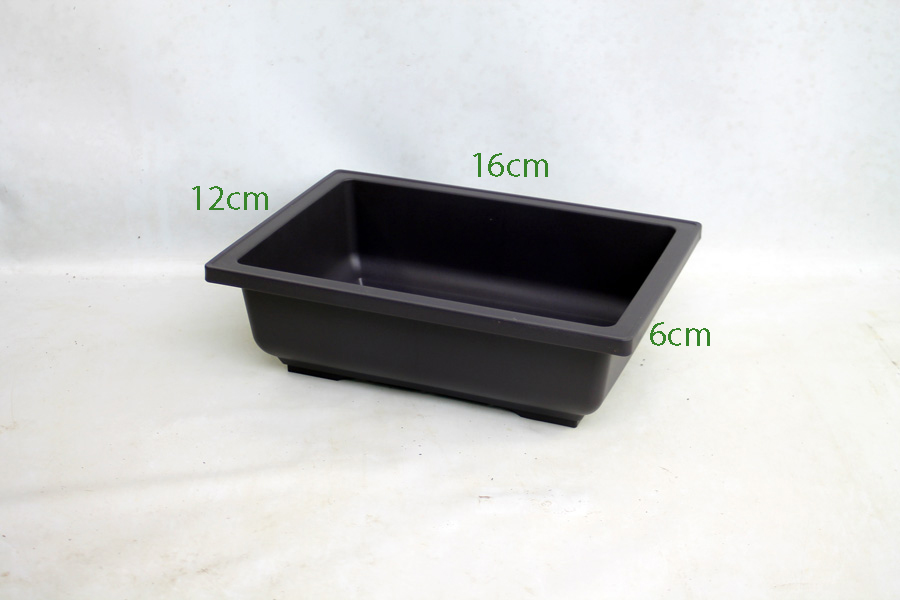 Plastic Bonsai Pot Rectangle 16cm available to buy online from All Things Bonsai Sheffield Yorkshire with free UK delivery