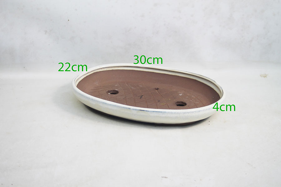 Glazed Bonsai Pot code 048 Cream Oval Large