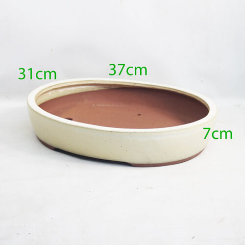 Glazed Bonsai Pot code 058 Cream Large