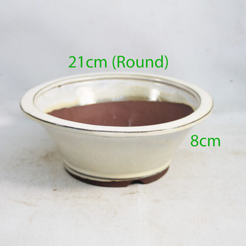 Glazed Bonsai Pot code R54 Cream Medium