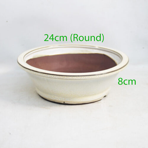 Glazed Bonsai Pot code R54 Cream Large
