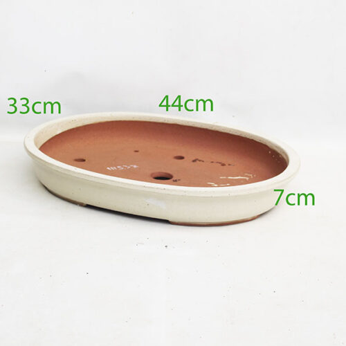 Glazed Bonsai Pot code 111537 Cream