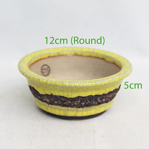 UK Handmade Bonsai Pot David Hickman code 0526P2