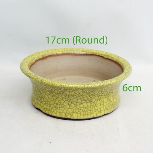 UK Handmade Bonsai Pot David Hickman code 0526P5