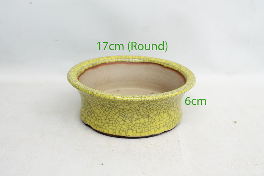 UK Handmade Bonsai Pot David Hickman code 0526P5