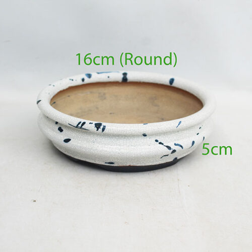 UK Handmade Bonsai Pot David Hickman code 0526P4
